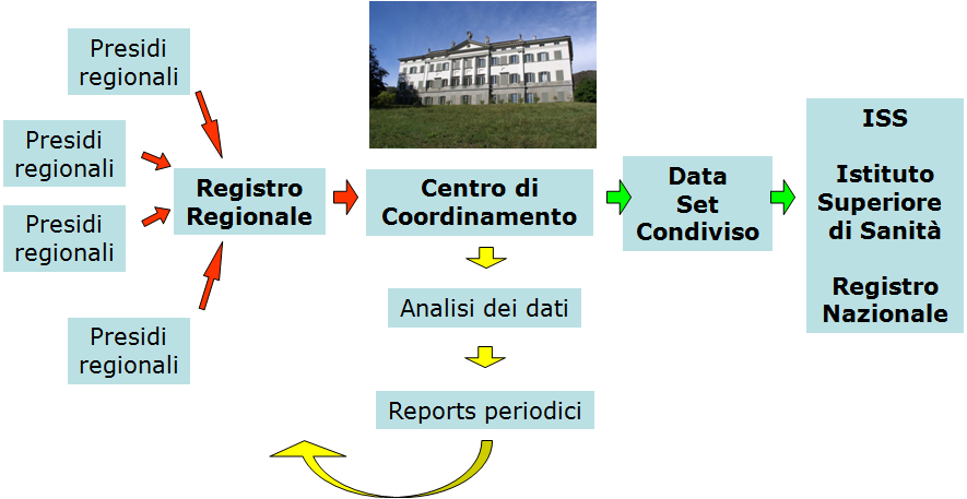 Schema rete